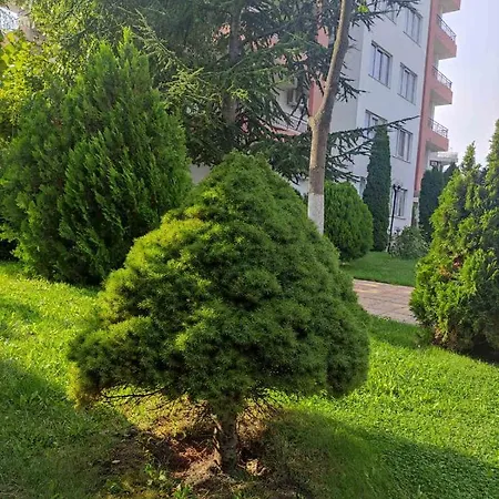 Апартамент Sea View Равда